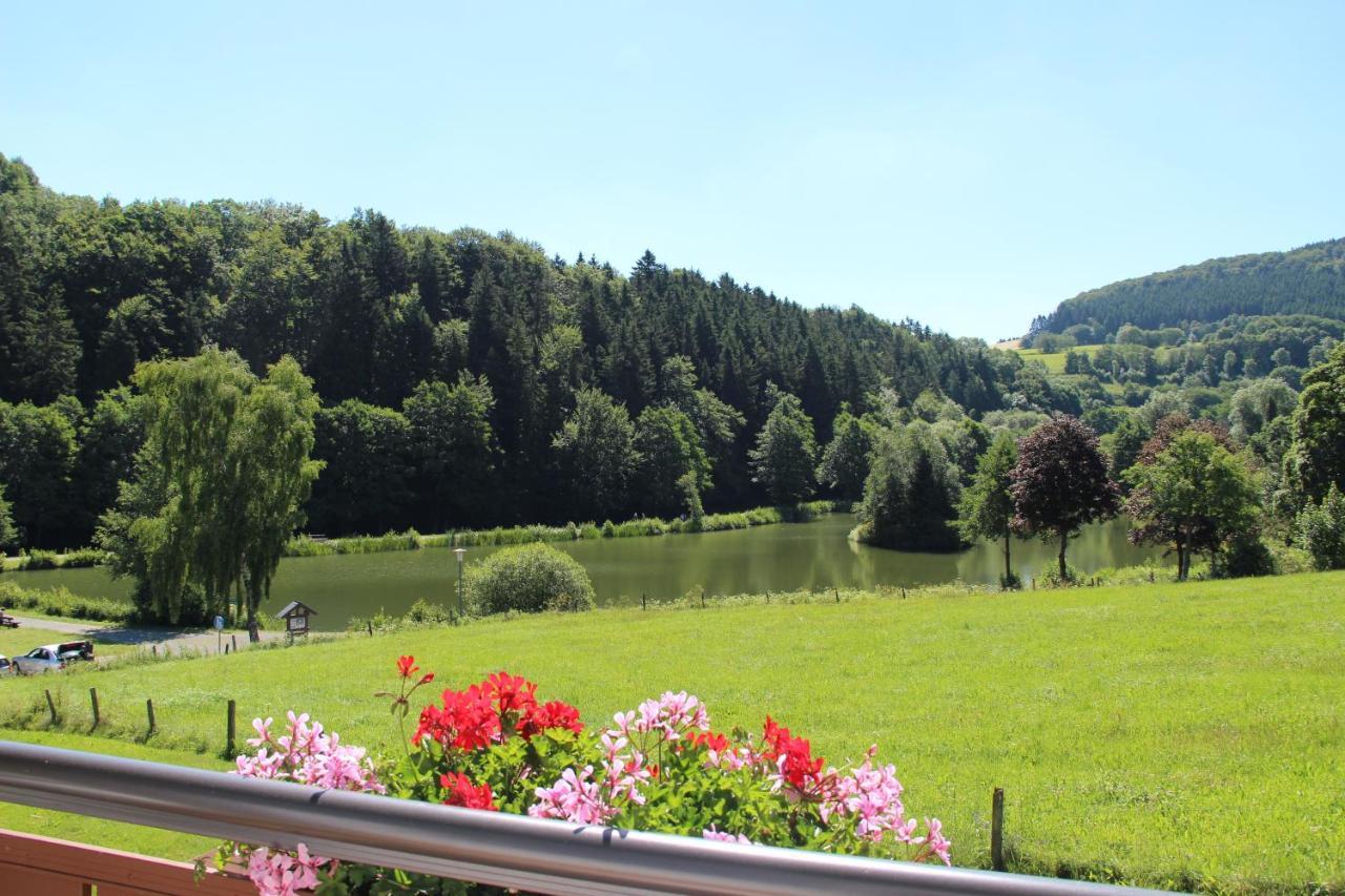 Haus Am Stryckpark Apartman Willingen  Kültér fotó