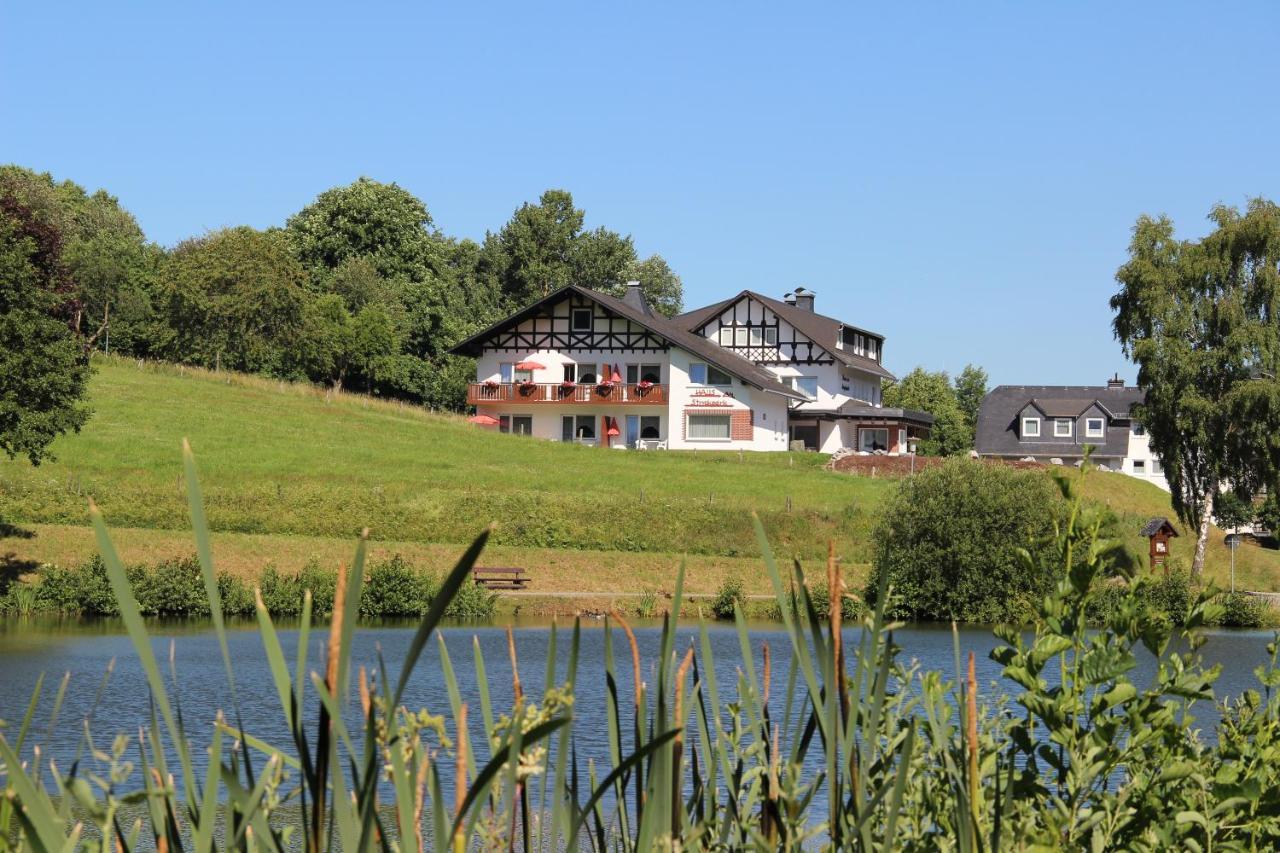 Haus Am Stryckpark Apartman Willingen  Kültér fotó